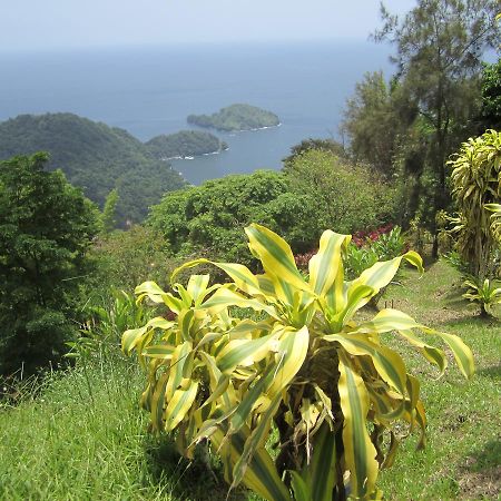 Mahogany Ridge Hotel Arouca Exterior foto