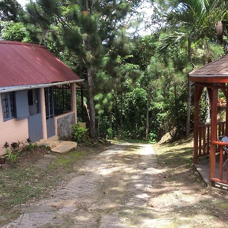 Mahogany Ridge Hotel Arouca Exterior foto