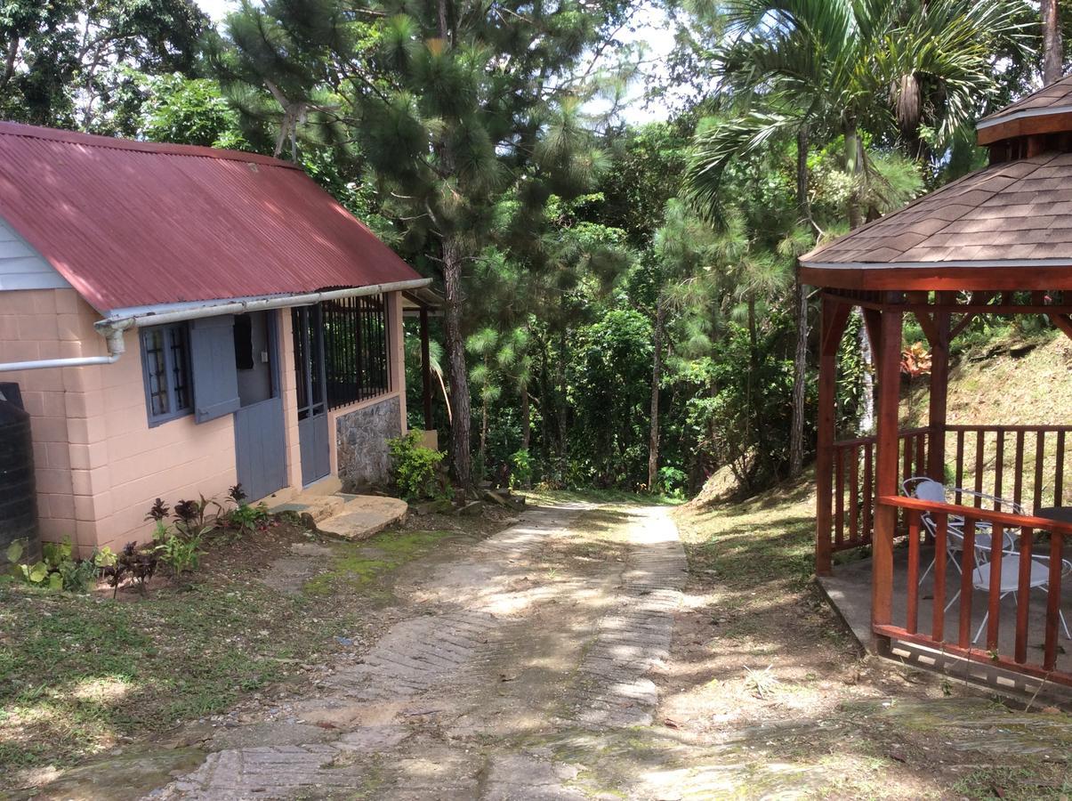 Mahogany Ridge Hotel Arouca Exterior foto
